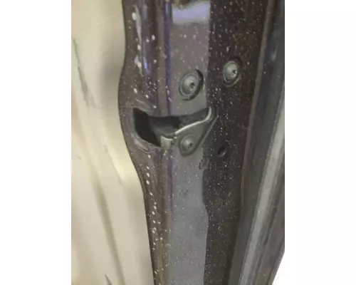 FREIGHTLINER CASCADIA 2008-2018 DOOR ASSEMBLY, FRONT