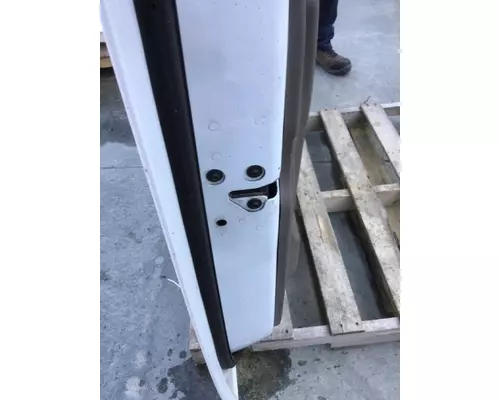 FREIGHTLINER CASCADIA 2008-2018 DOOR ASSEMBLY, FRONT