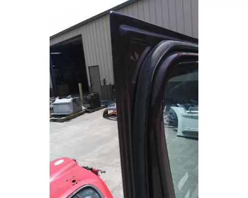 FREIGHTLINER CASCADIA 2008-2018 DOOR ASSEMBLY, FRONT