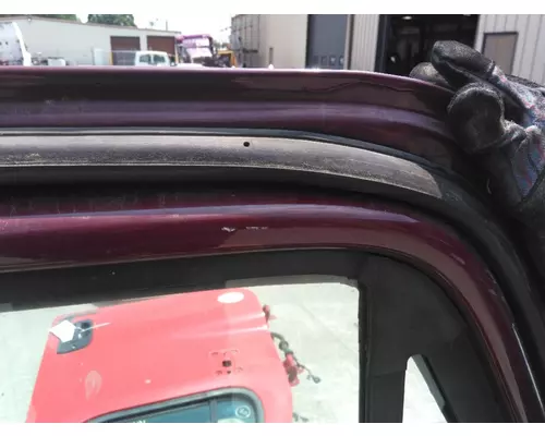 FREIGHTLINER CASCADIA 2008-2018 DOOR ASSEMBLY, FRONT