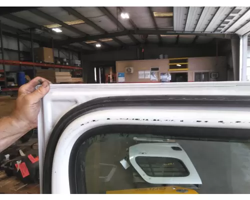 FREIGHTLINER CASCADIA 2008-2018 DOOR ASSEMBLY, FRONT
