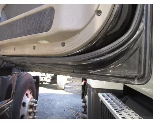 FREIGHTLINER CASCADIA 2008-2018 DOOR ASSEMBLY, FRONT