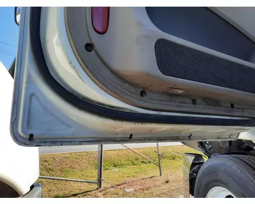 FREIGHTLINER CASCADIA 2008-2018 DOOR ASSEMBLY, FRONT