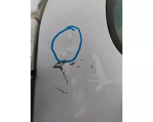FREIGHTLINER CASCADIA 2008-2018 DOOR ASSEMBLY, FRONT