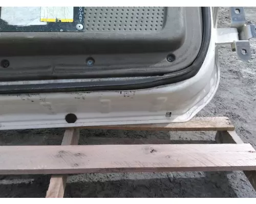 FREIGHTLINER CASCADIA 2018-2025 DOOR ASSEMBLY, FRONT