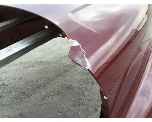 FREIGHTLINER CASCADIA P3 HOOD