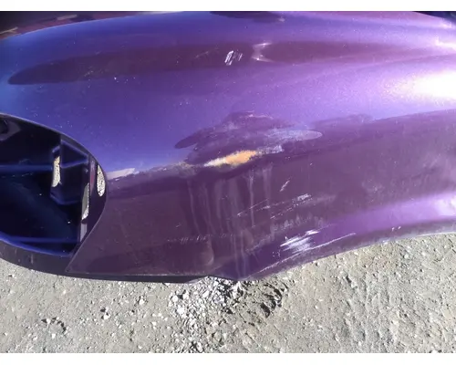 FREIGHTLINER CASCADIA P3 HOOD