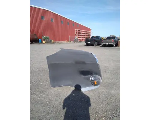 FREIGHTLINER CASCADIA P3 Hood