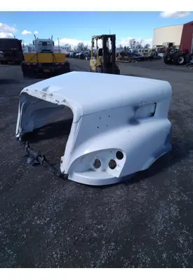 FREIGHTLINER CASCADIA P3 Hood