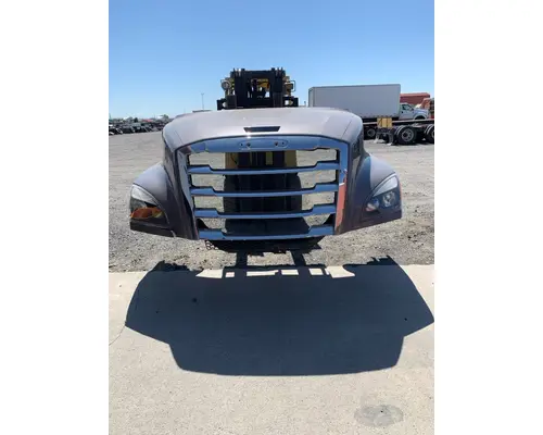 FREIGHTLINER CASCADIA P4 HOOD
