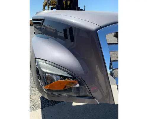 FREIGHTLINER CASCADIA P4 HOOD