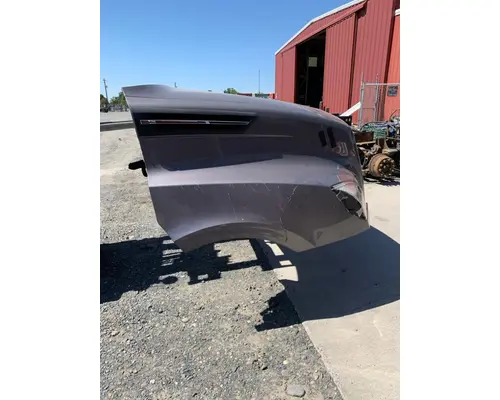 FREIGHTLINER CASCADIA P4 HOOD