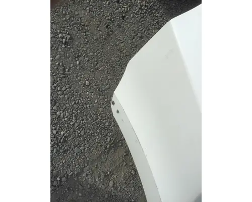 FREIGHTLINER CASCADIA P4 HOOD
