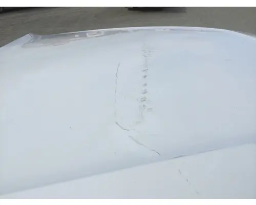 FREIGHTLINER CASCADIA P4 HOOD