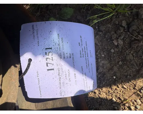 FREIGHTLINER CASCADIA Axle Housing (Rear)