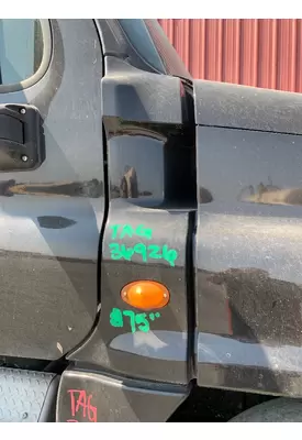 FREIGHTLINER CASCADIA Body Parts, Misc.
