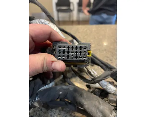 FREIGHTLINER CASCADIA Body Wiring Harness