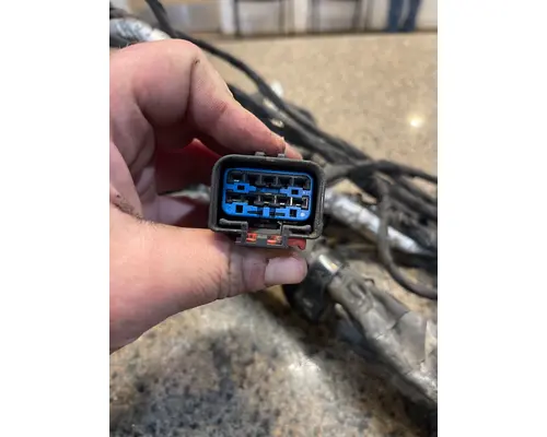 FREIGHTLINER CASCADIA Body Wiring Harness