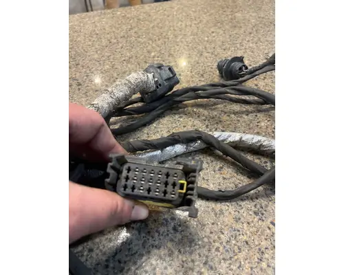 FREIGHTLINER CASCADIA Body Wiring Harness