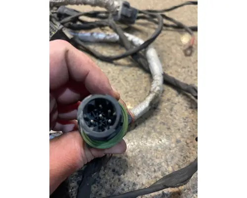 FREIGHTLINER CASCADIA Body Wiring Harness