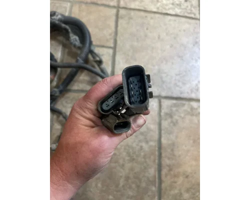 FREIGHTLINER CASCADIA Body Wiring Harness