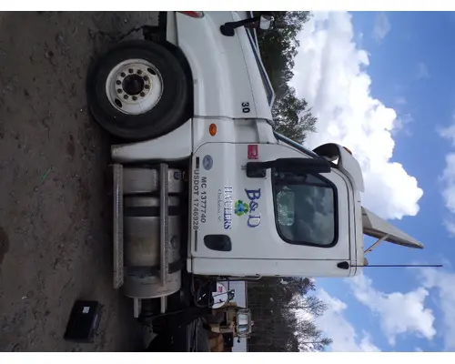 FREIGHTLINER CASCADIA Door Assembly, Front