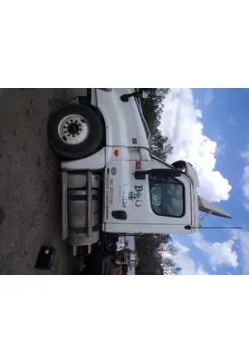 FREIGHTLINER CASCADIA Door Assembly, Front