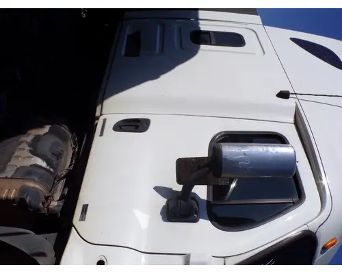 FREIGHTLINER CASCADIA Door Assembly, Front