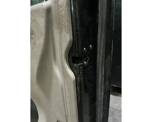 FREIGHTLINER CASCADIA Door Assembly, Front