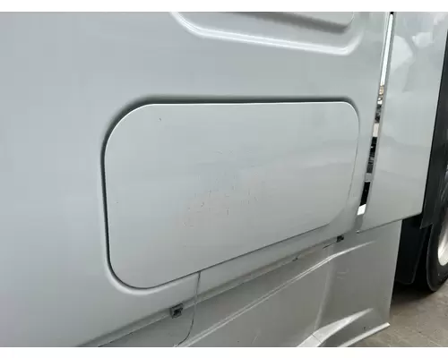 FREIGHTLINER CASCADIA Door Assembly, Rear or Back