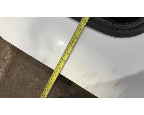 FREIGHTLINER CASCADIA Door Assembly Rear or Back