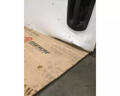 FREIGHTLINER CASCADIA Door Assembly