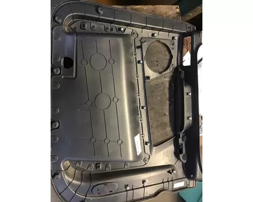 FREIGHTLINER CASCADIA Door Panel