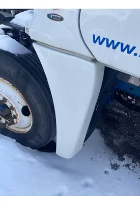 FREIGHTLINER CASCADIA Fender Extension