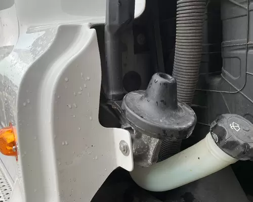 FREIGHTLINER CASCADIA Hood Rest
