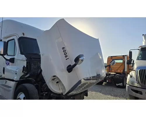 FREIGHTLINER CASCADIA Hood