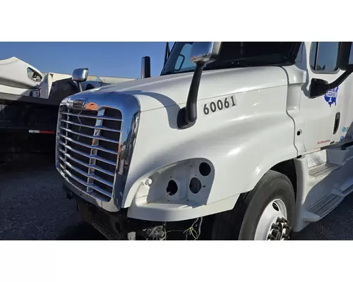 FREIGHTLINER CASCADIA Hood