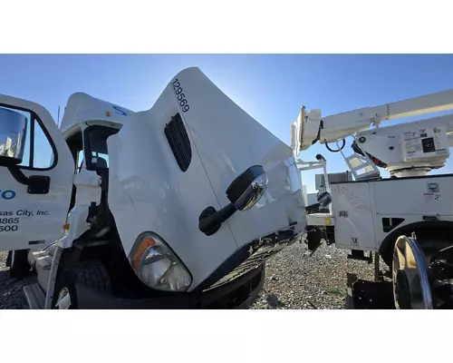 FREIGHTLINER CASCADIA Hood