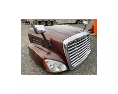 FREIGHTLINER CASCADIA Hood