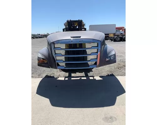 FREIGHTLINER CASCADIA Hood