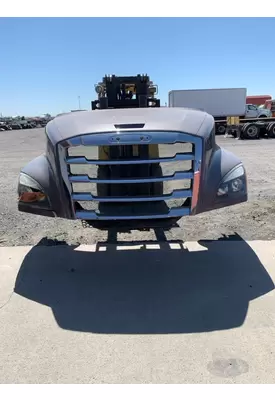 FREIGHTLINER CASCADIA Hood