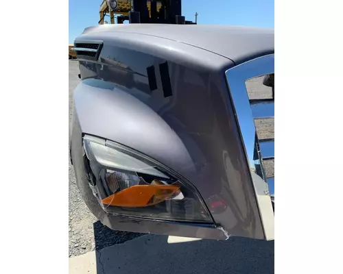 FREIGHTLINER CASCADIA Hood