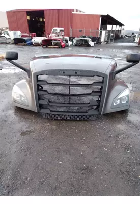 FREIGHTLINER CASCADIA Hood