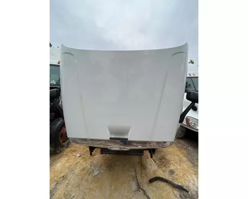 FREIGHTLINER CASCADIA Hood