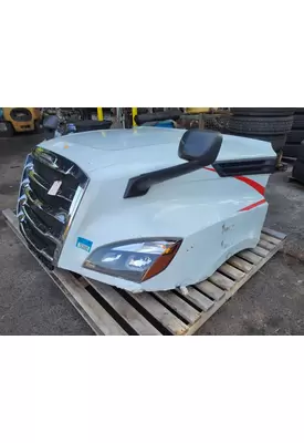 FREIGHTLINER CASCADIA Hood