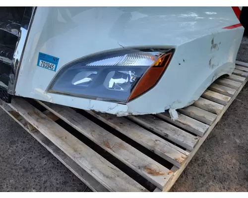 FREIGHTLINER CASCADIA Hood