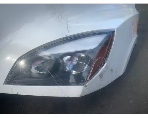 FREIGHTLINER CASCADIA Hood