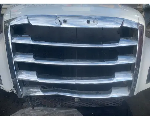 FREIGHTLINER CASCADIA Hood