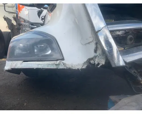 FREIGHTLINER CASCADIA Hood