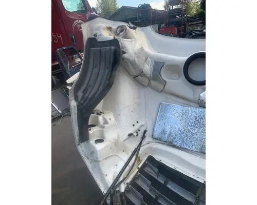 FREIGHTLINER CASCADIA Hood